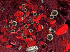 磁场对大鼠红细胞SOD活性及心肌MDA含